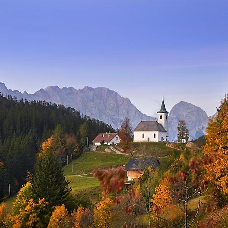 Appartamento Prenocisca Valentina Solčava Esterno foto