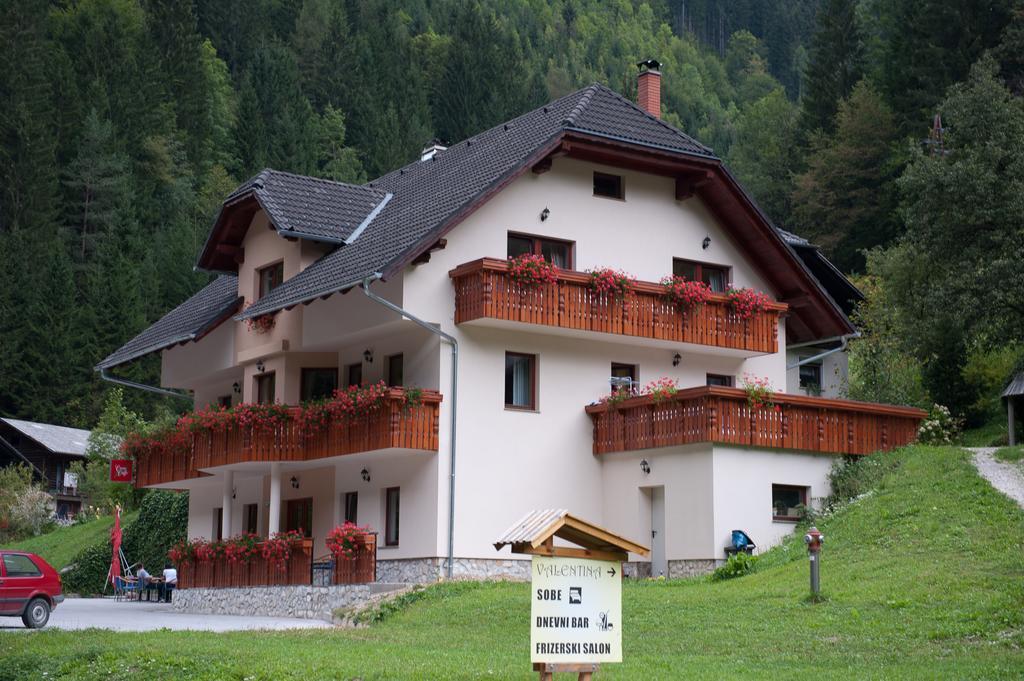 Appartamento Prenocisca Valentina Solčava Esterno foto
