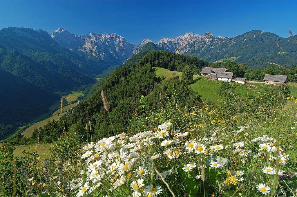 Appartamento Prenocisca Valentina Solčava Esterno foto